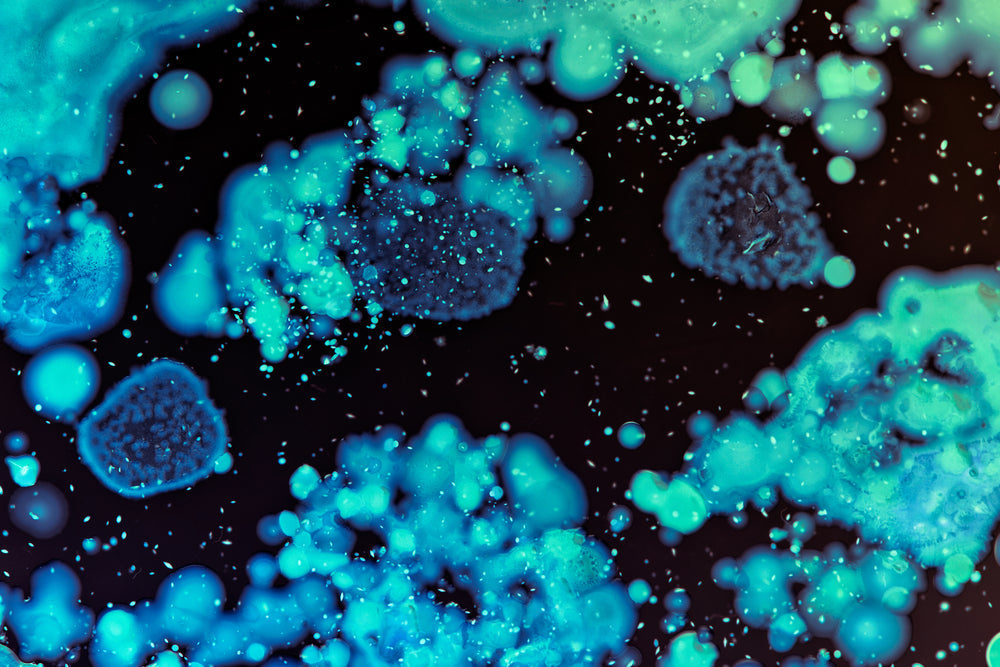 What Are Postbiotics? The Final Piece in Gut Healing